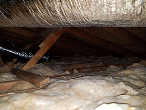 Attic Cleaning in Thousand Oaks